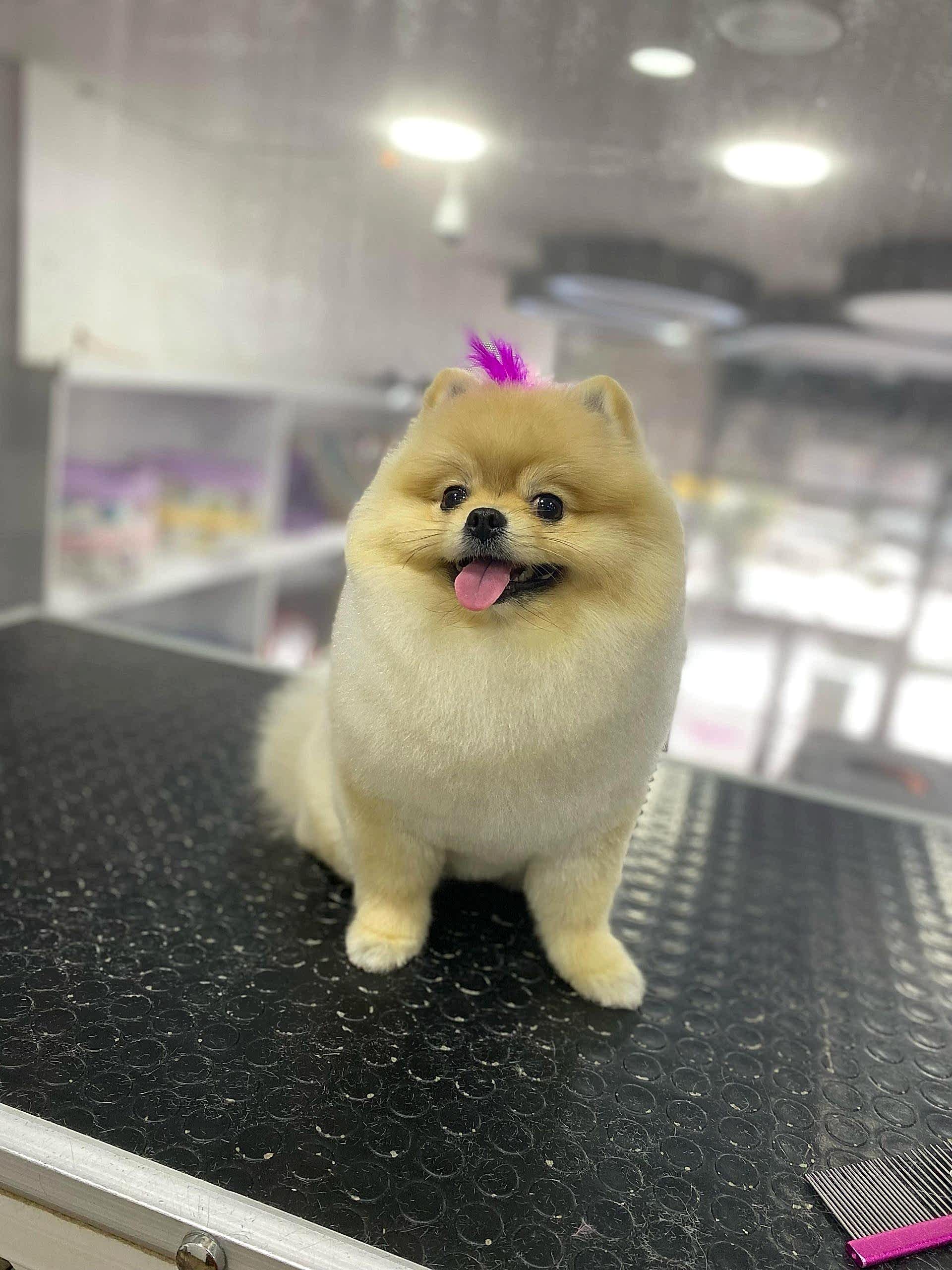 WhatsApp Görsel 2025-02-19 saat 00.20.45_c8100aea