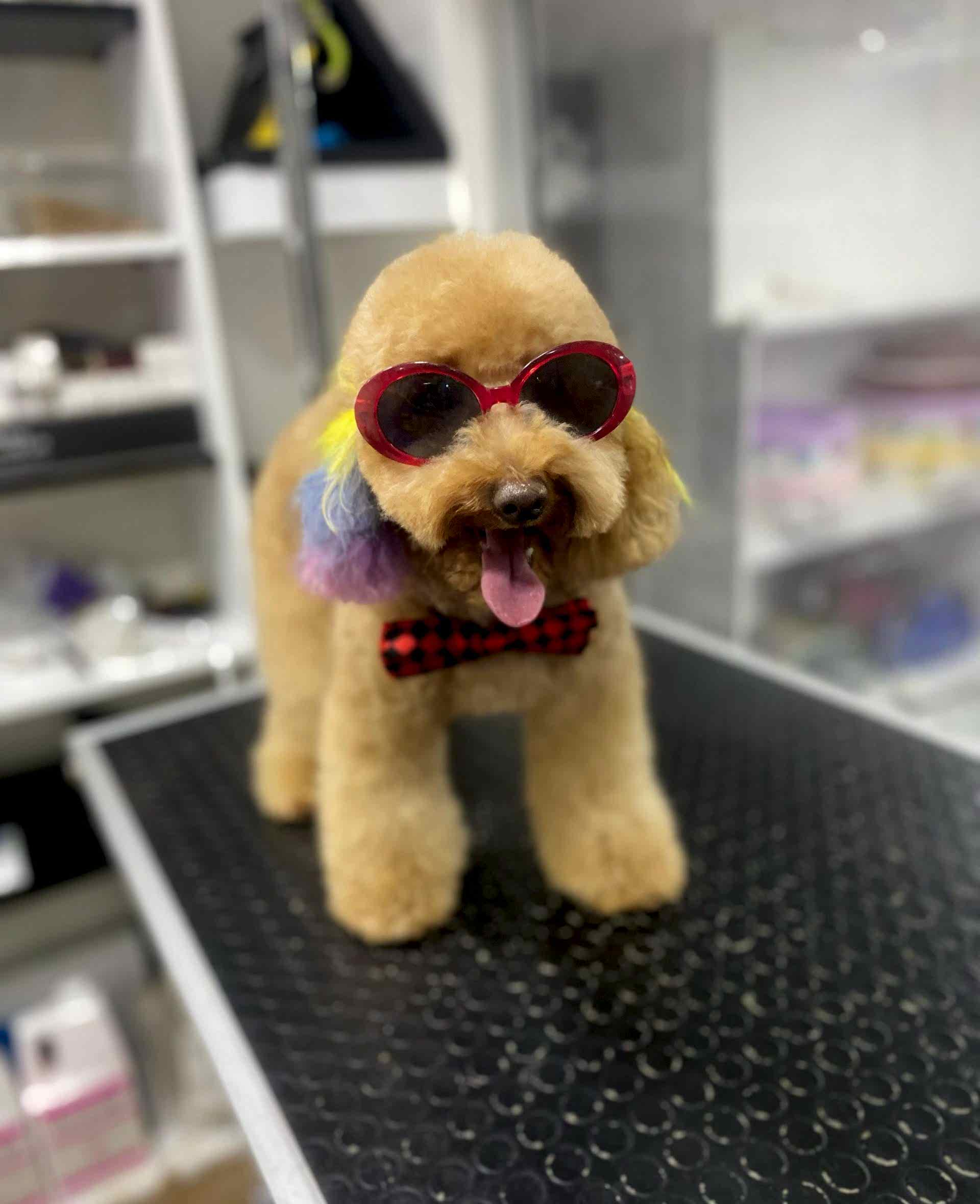 WhatsApp Görsel 2025-02-19 saat 00.20.46_a799233b