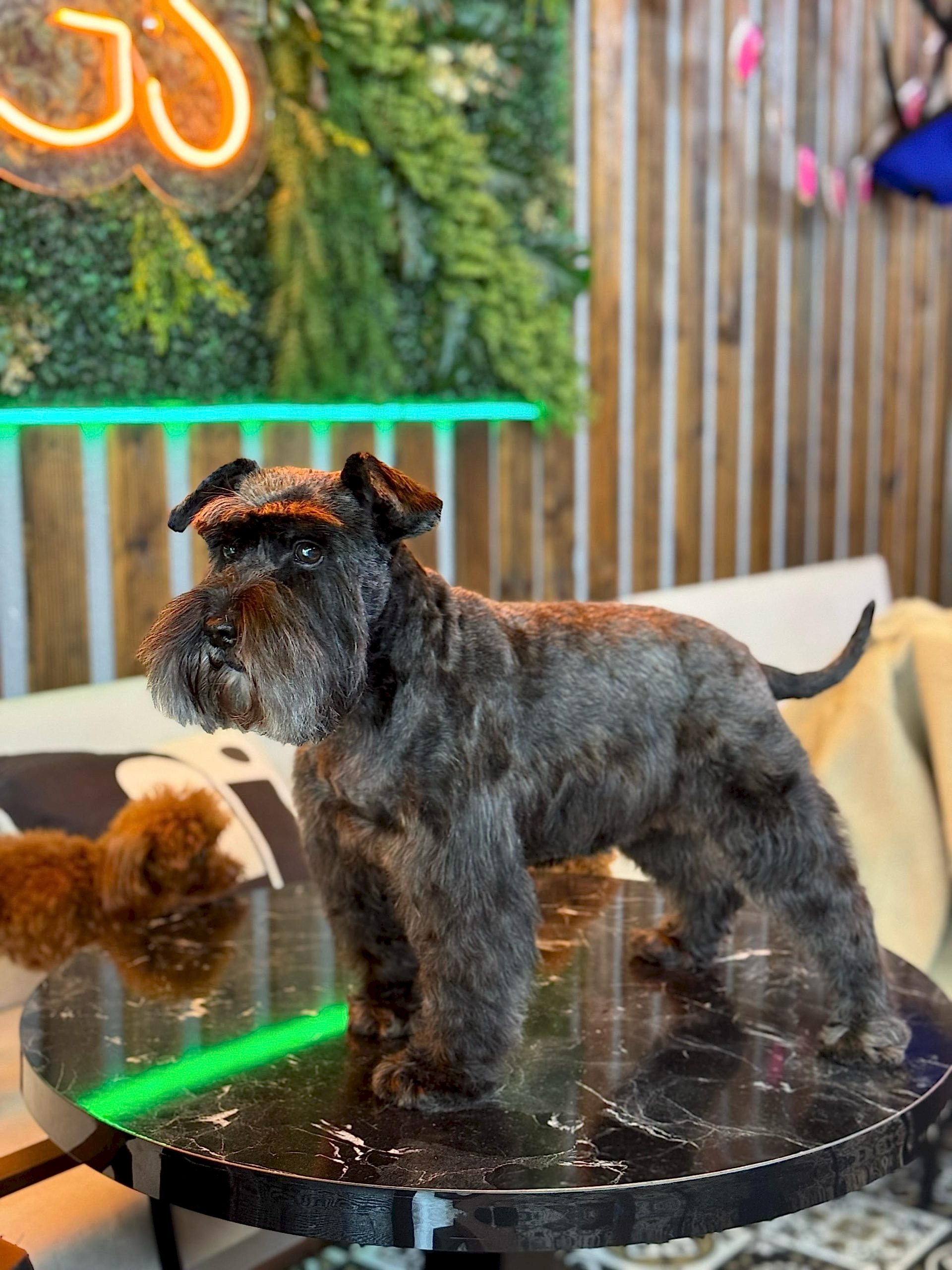 WhatsApp Görsel 2025-02-19 saat 00.20.47_cb85a1a9