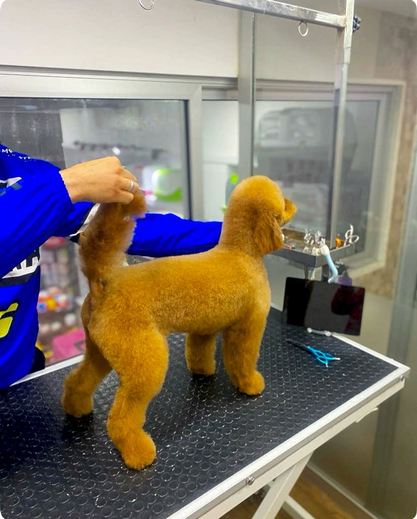 WhatsApp Görsel 2025-02-19 saat 00.20.48_92d080f8