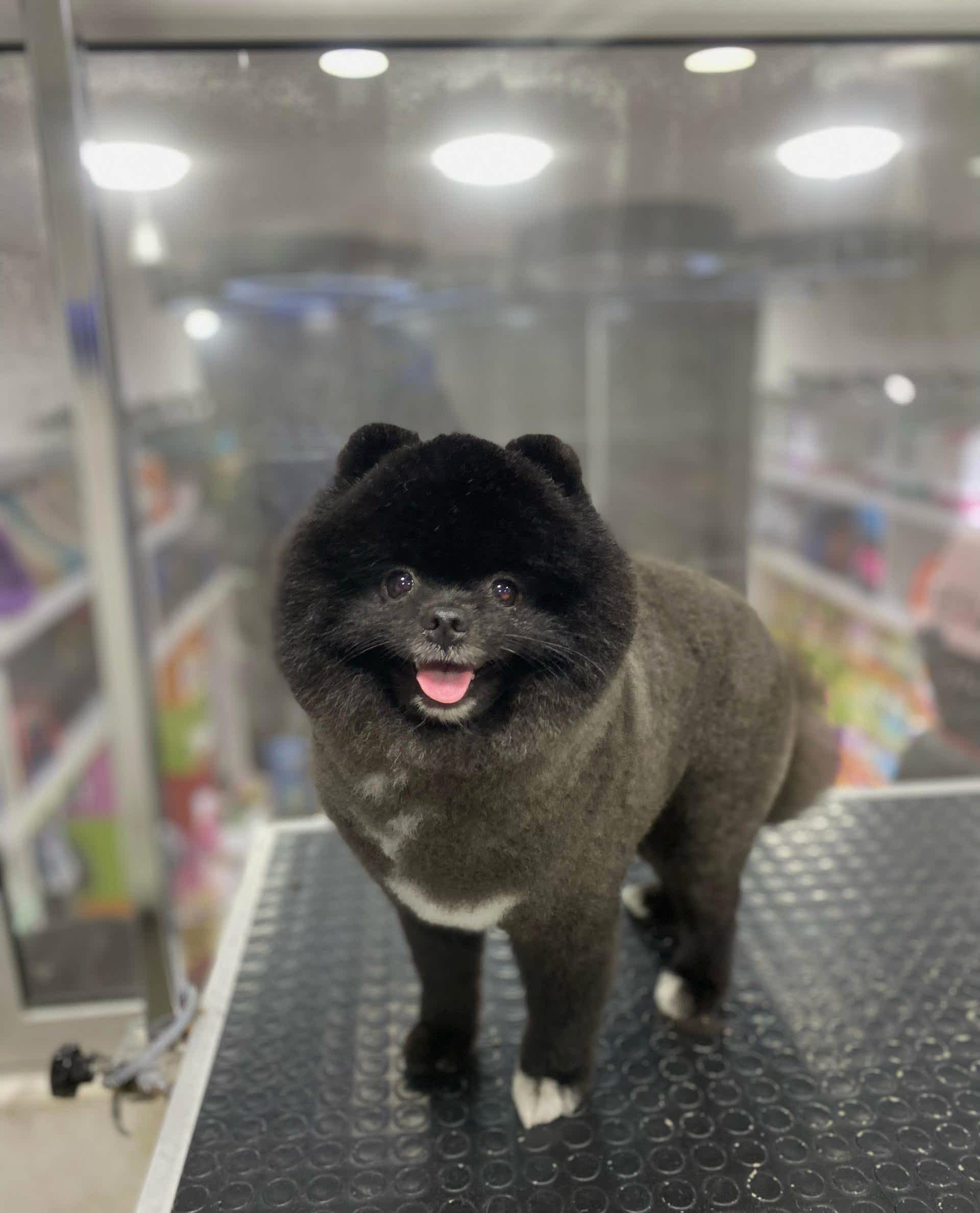 WhatsApp Görsel 2025-02-19 saat 00.20.50_d1a8243c