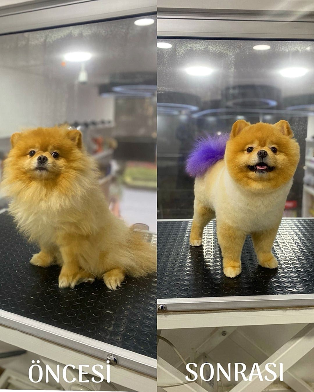 WhatsApp Görsel 2025-02-19 saat 00.20.53_da8b970b