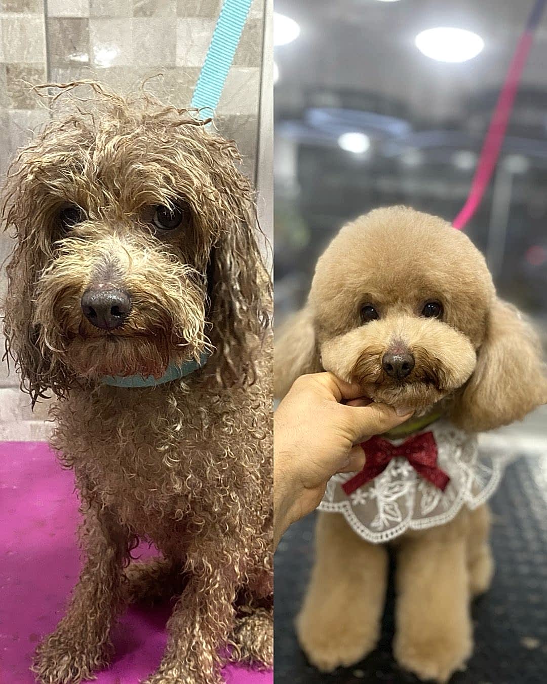 WhatsApp Görsel 2025-02-19 saat 00.20.54_1f8e0b91