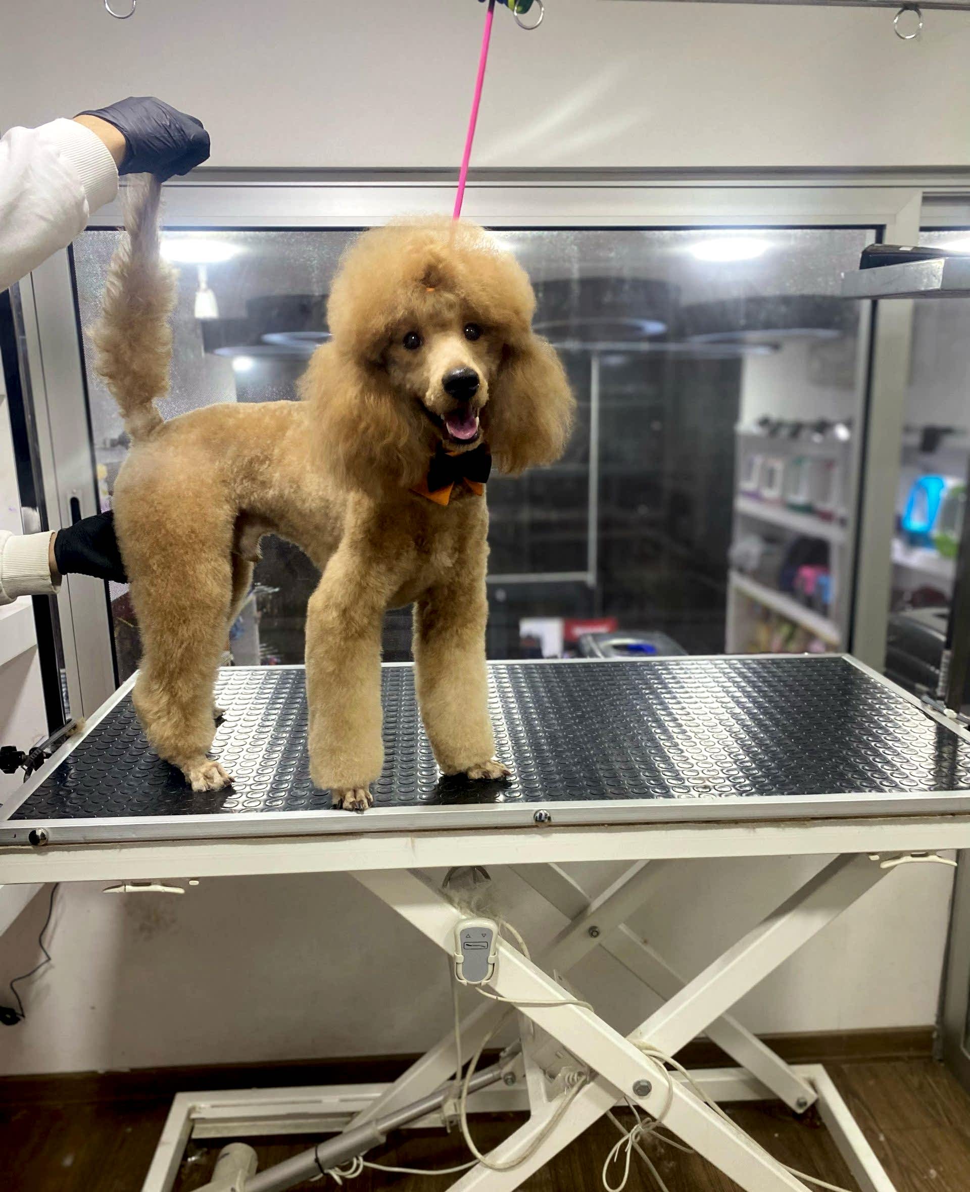 WhatsApp Görsel 2025-02-19 saat 00.20.55_1fe910b4