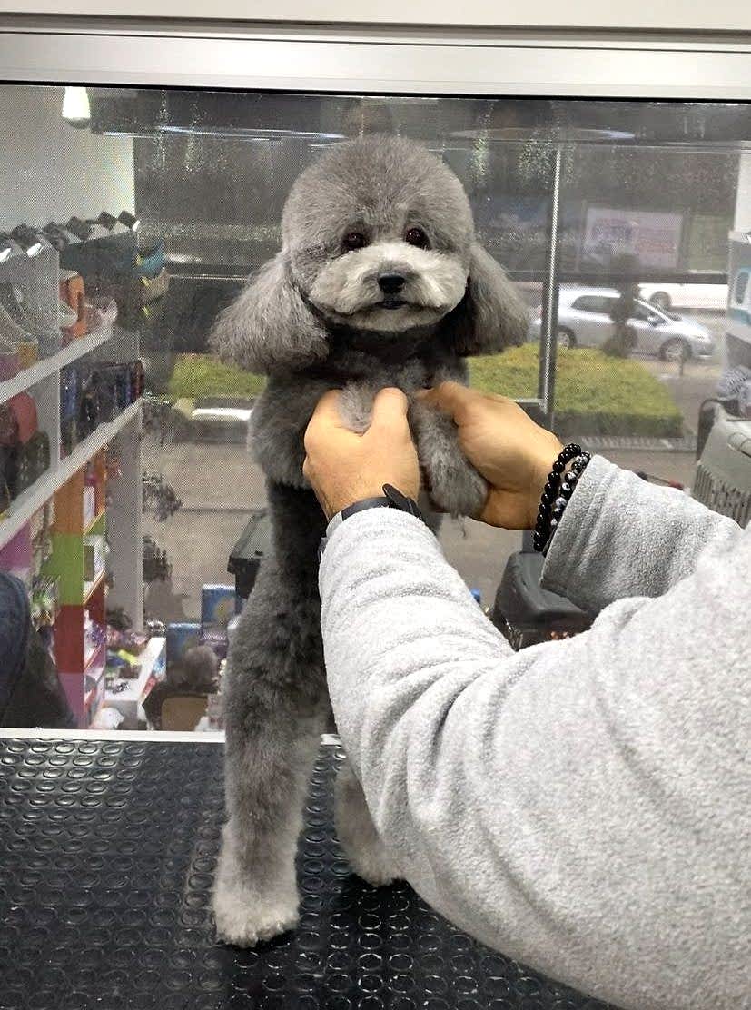 WhatsApp Görsel 2025-02-19 saat 00.22.49_380420c0